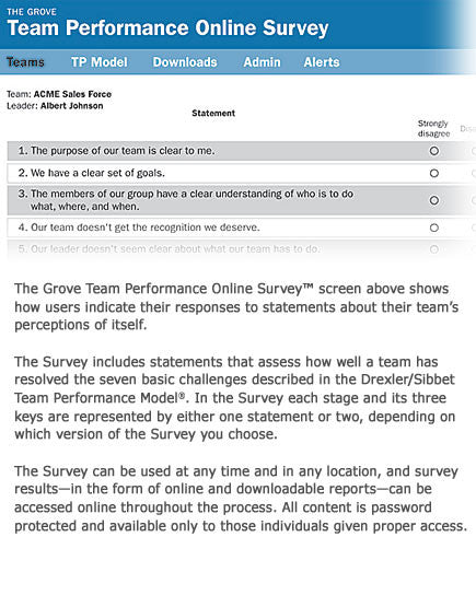 Team Performance Online Survey